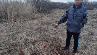Застрелившие косуль супруги из Воронежской области получили условный срок