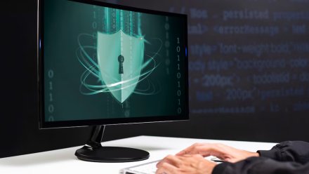 В Воронежской области вырос спрос на сотрудников информационной безопасности