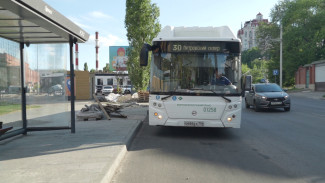 Воронежцы попросили запустить автобус до Петровской набережной по будням