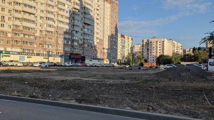В центре Воронежа снесли самую популярную площадку для выгула собак