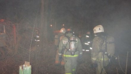 В загоревшемся доме в Воронежской области погиб мужчина