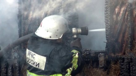 Под Воронежем два человека погибли из-за непотушенной сигареты