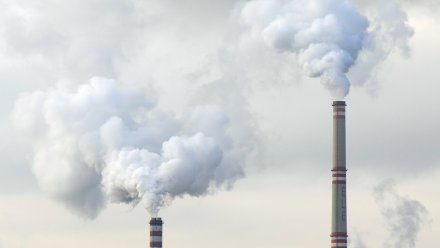 В Воронеже дрожжевой завод вновь уличили в загрязнении воздуха