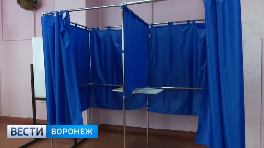 Отпуска и огороды. Почему Воронежская область показала самую низкую за четыре года явку