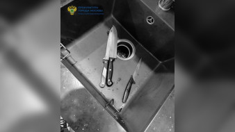 Подозреваемого в убийстве и расчленении женщины в Москве задержали в Воронежской области