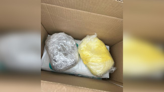 Полицейские нашли 1,5 кг наркотиков в коробке для памперсов в Воронежской области
