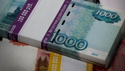 Аналитики составили топ-5 дорогих вакансий декабря в Воронеже