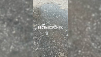 Воронежские дворы начали превращаться в катки