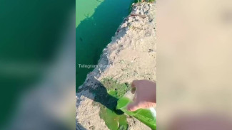 Воронежцы сняли на видео эксперимент с кислотно-зелёным водохранилищем