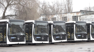 В Воронеже изменится расписание автобуса до Рамони