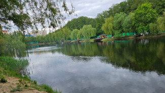 «‎Спасла сестрёнку и ушла под воду»‎. Воронежцы рассказали о трагедии с ребёнком на турбазе 