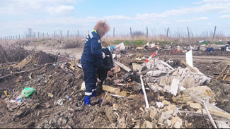 Незаконную свалку высотой в 2 метра обнаружили в Воронежской области