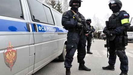 Спонсировавшего ИГИЛ* жителя Воронежа отправили в тюрьму на 9 лет