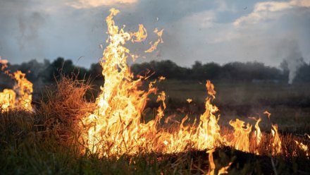 На кладбище под Воронежем произошёл пожар