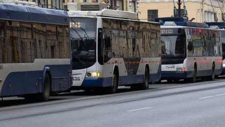 В Воронеже два троллейбусных маршрута приостановят работу на два дня