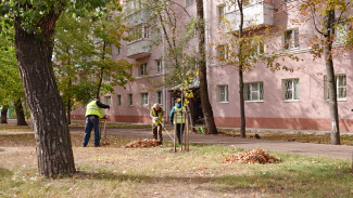 В Воронеже начался месячник благоустройства