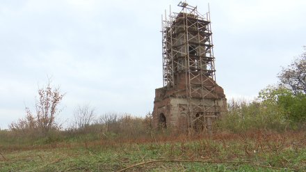 В Воронеже неизвестные возвели строительные леса вокруг старинной колокольни