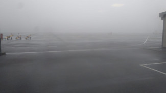 Густой туман помешал работе Воронежского аэропорта