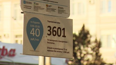 В Воронеже платные парковки сделают заметнее после жалоб водителей