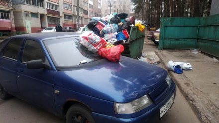 Воронежцы проучили водителя, который заблокировал подъезд к мусорке