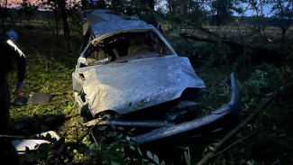 Компания молодёжи вылетела в кювет на ВАЗе в Воронежской области: погиб 15-летний мальчик