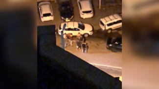 «В ход пошли электрошокеры». Воронежцы сообщили о массовой драке