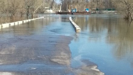 Понтонный мост в Воронежской области убрали из-за половодья