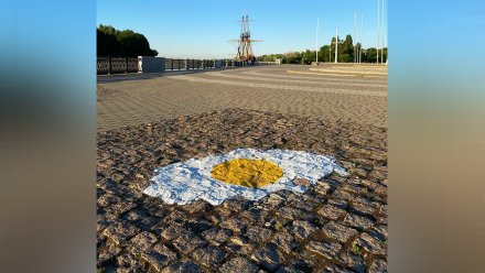 Огромная «глазунья» появилась на Адмиралтейской площади Воронежа