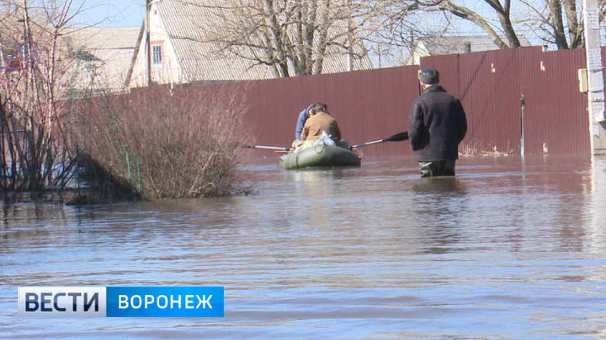 Потом в Новой Усмани – Новости Воронежа и Воронежской области –  Вести-Воронеж