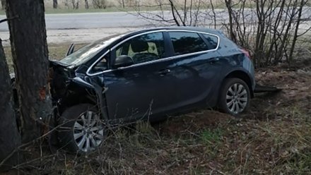 В Воронежской области пьяный водитель иномарки на скорости влетел в дерево