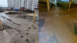 Непроходимое болото появилось на месте строительства дороги Шишкова-Тимирязева в Воронеже
