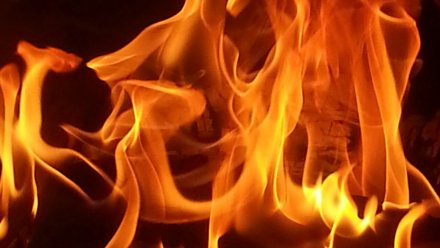 В Воронежской области из горящего дома спасли пожилого мужчину