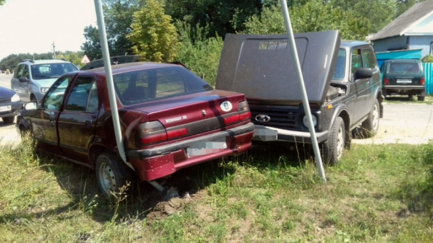 В ДТП в Воронежской области пострадала 2-летняя малышка и пенсионерка