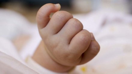 В Воронеже в квартире нашли тело младенца