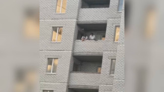 Воронежцы сняли на видео парней, сбрасывавших мусор и кирпичи с 12 этажа 