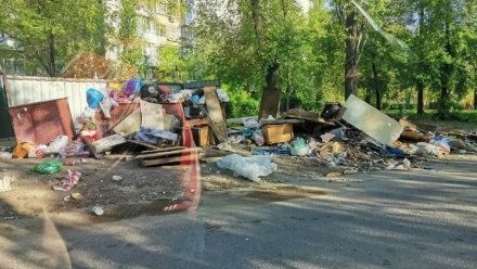 Жители Воронежа пожаловались на превратившую двор в «свинарник» мусорную площадку