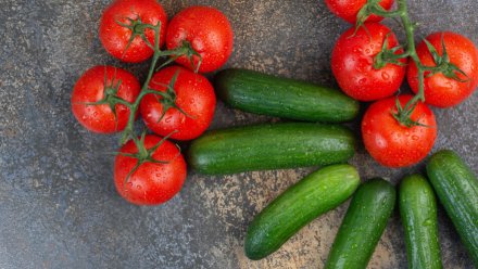 В Воронежской области подорожали апельсины и помидоры