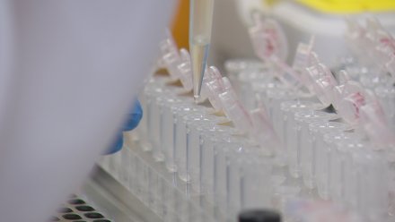 Воронежский университет разработает лекарство от коронавируса