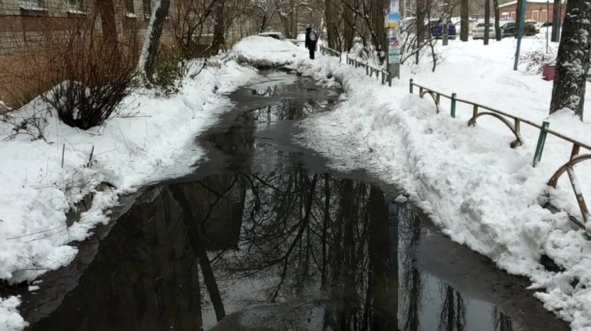 Река говорит. Смотреть в Воронежская области затопило деревню фикалиям.