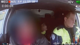 В Хохольском районе остановили чрезвычайно пьяного водителя