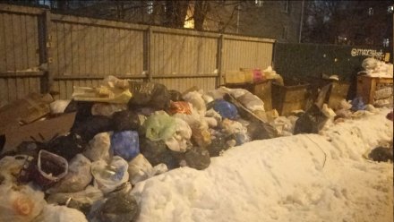 Сугробы из мусора и смертельно опасная наледь. Как Воронеж встретил оттепель