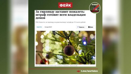 В Воронеже разоблачили фейк о штрафах за новогодние гирлянды