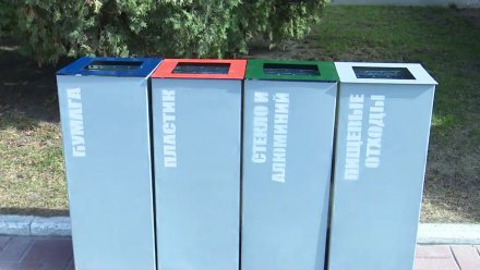 В Воронеже до конца года установят 911 урн для раздельного сбора мусора