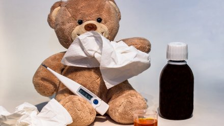 В Воронежской области 7,5 тыс. детей заболели ОРВИ за неделю