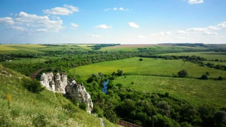 Воронежцы вновь смогут попасть в «Дивногорье» без траты времени на пересадки