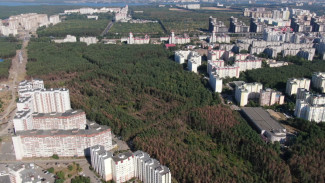 Воронежцам показали две концепции развития Северного леса