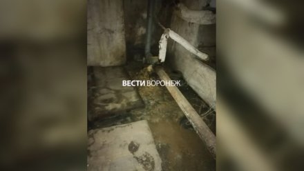 Подвал воронежской аварийной 3-этажки затопило фекалиями
