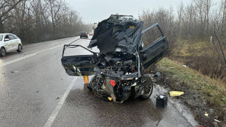 КамАЗ устроил массовое смертельное ДТП под Воронежем