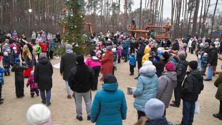 В обновлённом парке имени Северцова в Воронеже прошла Новогодняя ёлка