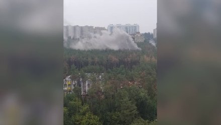 Пожар в лесу произошёл в Воронеже рядом с жилыми домами